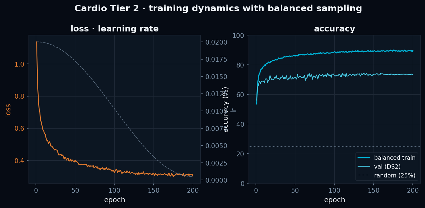 Tier 2 training dynamics