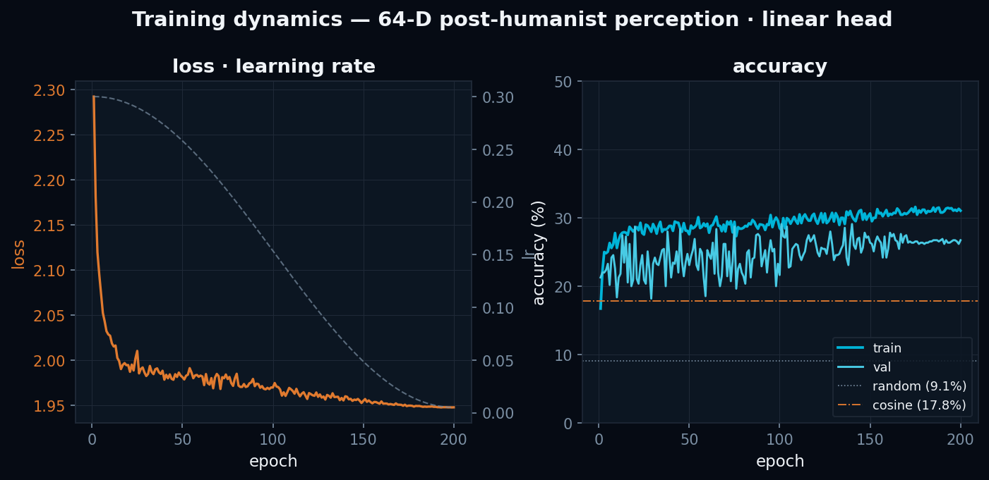 Training dynamics