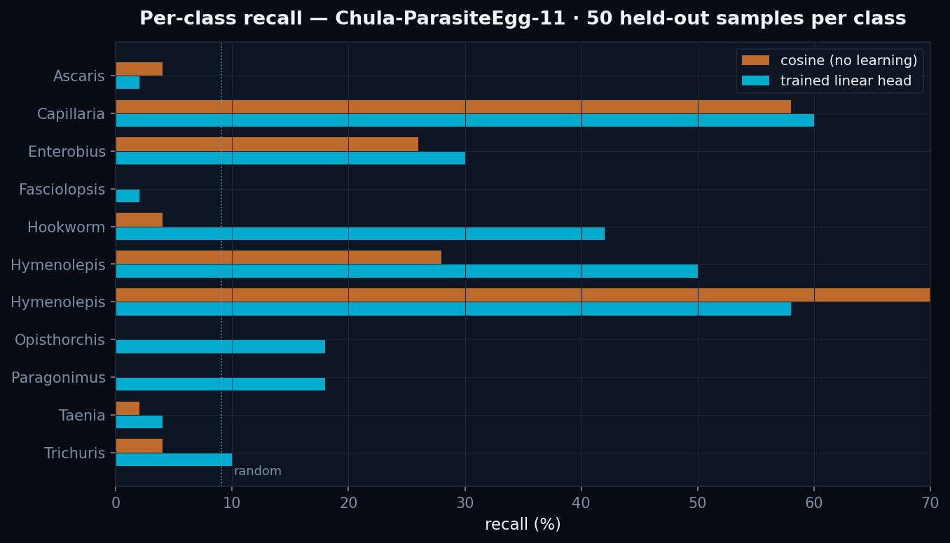 Per-class recall