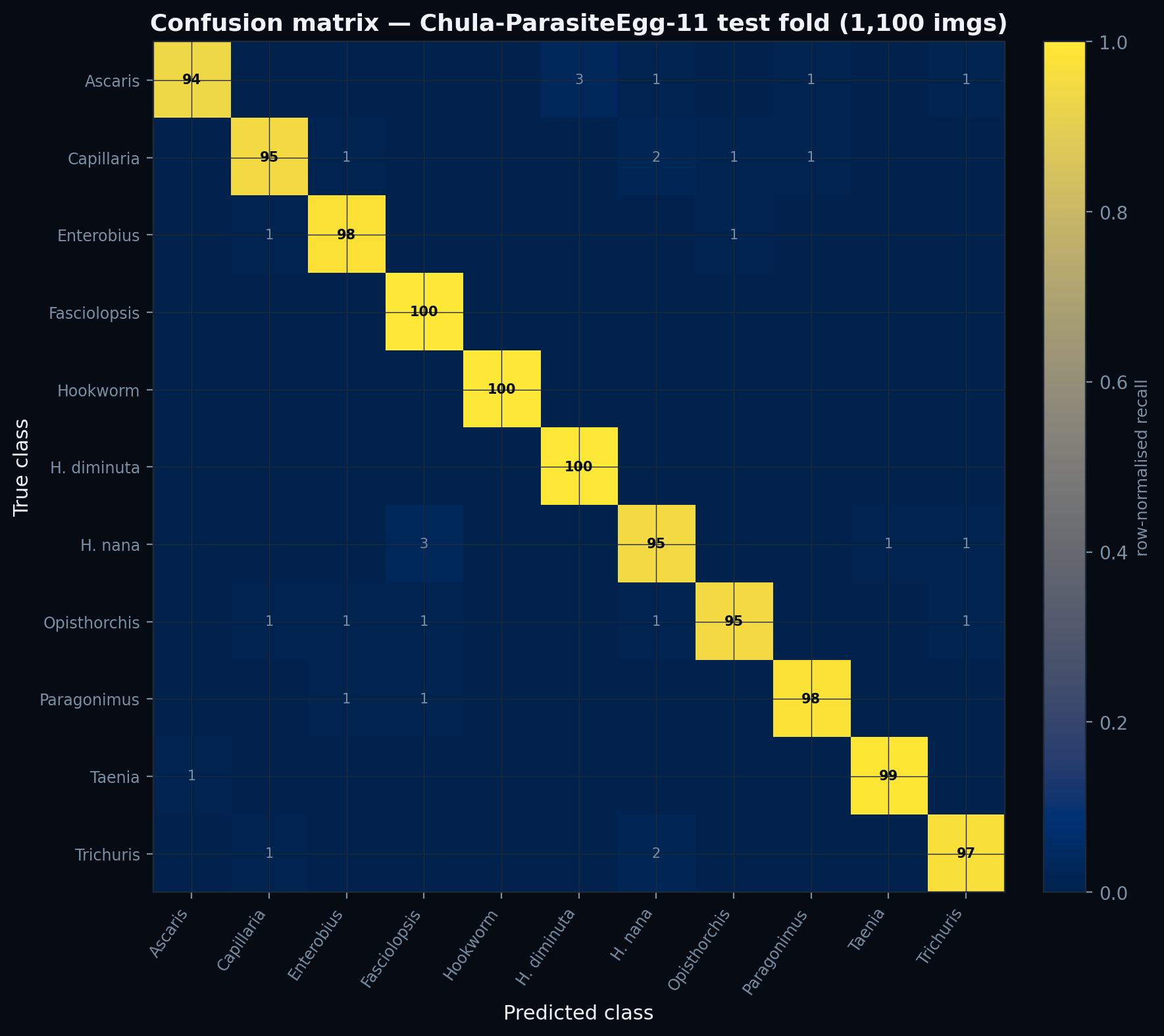 Confusion matrix — v0.1 visualisation