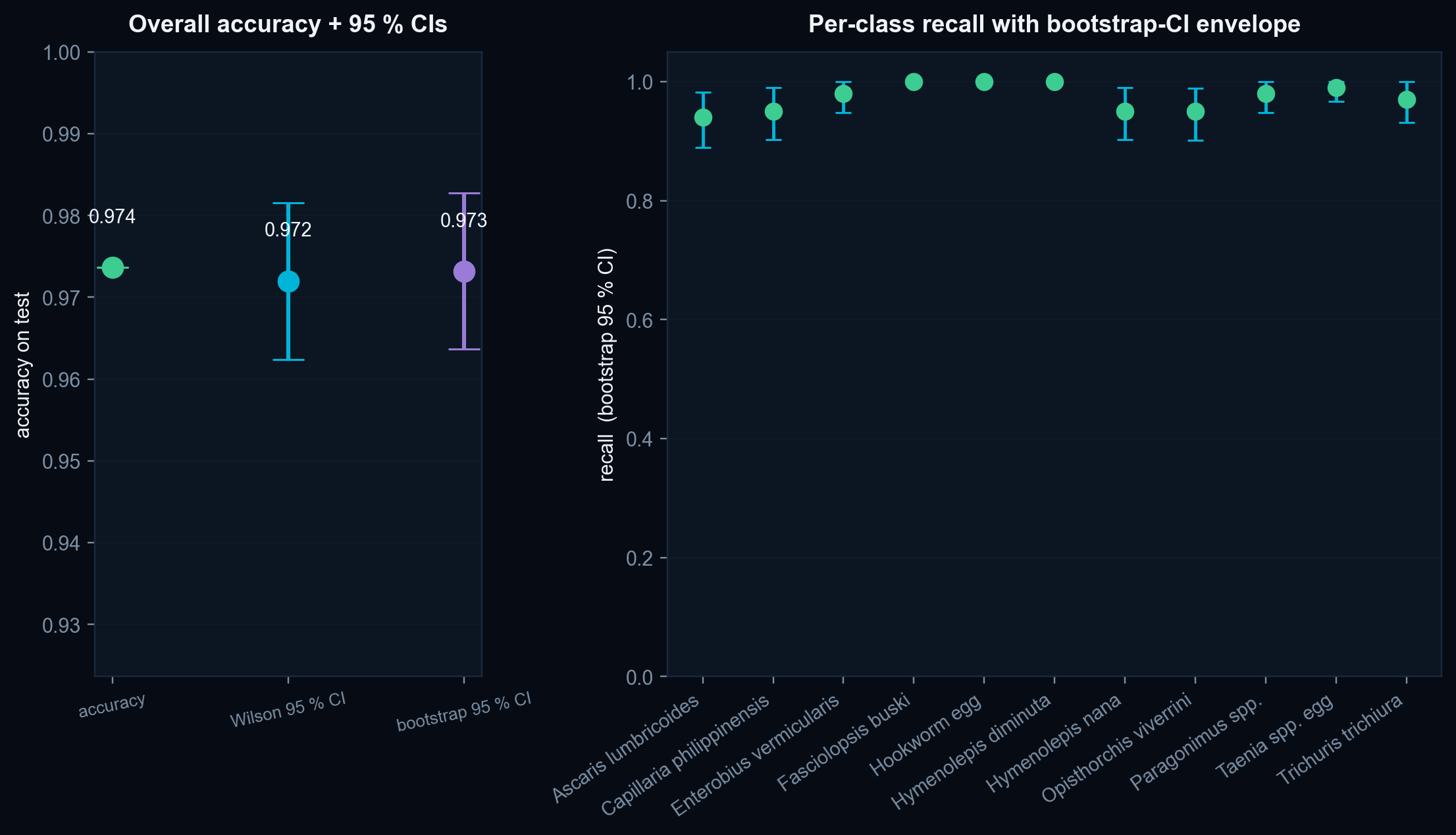 v0.2 audit — overall accuracy and per-class recall with 95 % confidence intervals